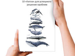 10 Главных правил - «Китов» для успешного решения проблем