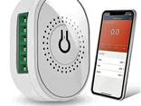 2 арналы шағын Wi-Fi қосқышы Tuya 16A Smart Life - фото 2