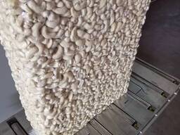 Қабықтардағы шикі кешью жаңғақтары