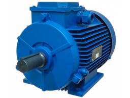 АДЧР 100L4 Б 4кВт*1500об/мин 1081 лапы В-К-220