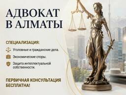 Адвокат в Алматы - профессиональная защита ваших прав