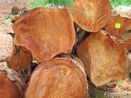 African timber logs and lumber for sell