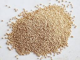 Амарант белый семена