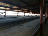 Ангар - фото 2