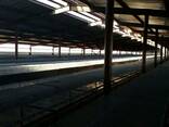Ангар - фото 3