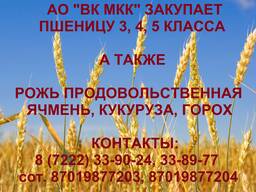 АО ВК МКК закупает пшеницу 3,4,5 класса