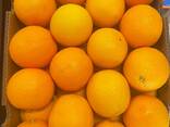 Апельсин - photo 2