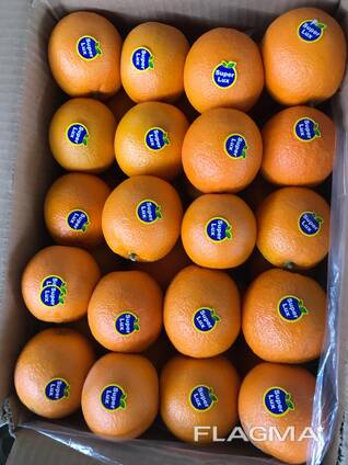 Апельсин Иран (цена включает доставку)