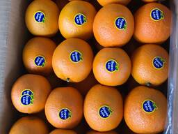 Апельсин Иран (цена включает доставку)