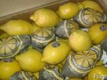 Апельсины лимоны лайм. Возможна совместная поставка. - photo 2