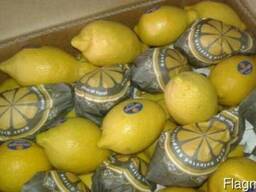 Апельсин Мандарин Лимон цена порт