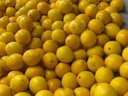 Апельсины с Турции.