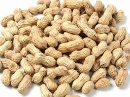 Арахис опт, крупный опт