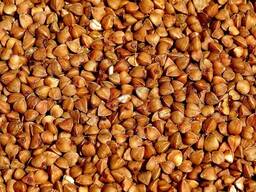 Крупа Гречневая