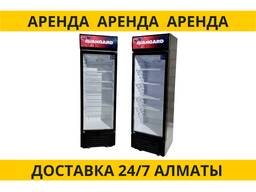 Аренда холодильника витрины, холодильник для напитков в аренду