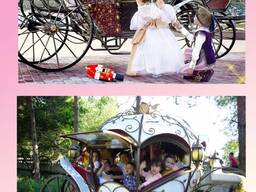 Аренда карета, пони , лошадь