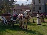 Аренда карета, пони , лошадь - photo 2