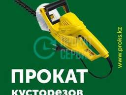 Аренда кустореза