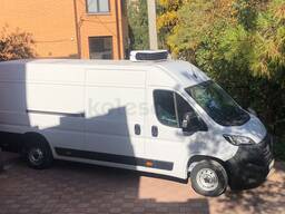 Аренда рефрижератора Fiat Ducato 250 2022