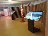 Аренда сенсорного информационного киоска 49" (Touch screen) - фото 1