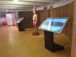 Аренда сенсорного информационного киоска 49" (Touch screen)