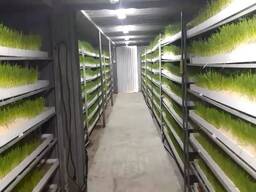 Архитектурное проектирование теплиц