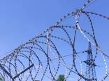 Армированная колючая проволока АКЛ 300-6-3 "ЕГОЗА" - фото 3
