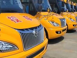 Автобус 41 местный (вахта, развозка, персонал, школа)