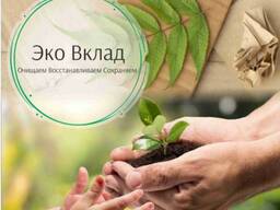 Автомобильное и растительное отработанное масло