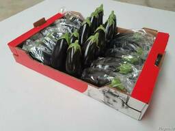 Баклажаны из Испании. Прямые поставки