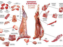 Баранина экспорт