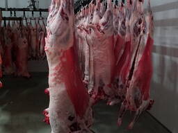 Баранина Халяль