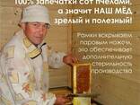 Башкирский мёд - фото 3