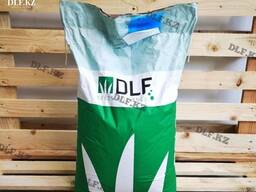 Белый клевер Rivendel