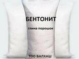 Бентонитовая глина - фото 1