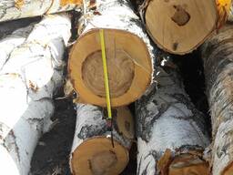 Береза обрезная 30-200х50-400х4000-4500мм