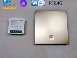 Радиореле және Wi-Fi бар сымсыз қосқыш (eWeLink Alice)