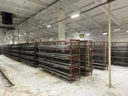 Готовый бизнес. Перепелиная ферма