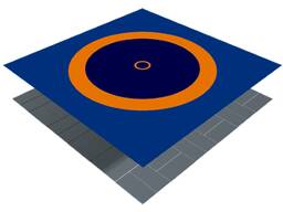 Борцовский ковер (без матов), 12х12м (новый стандарт)