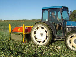 Ботвоудалитель для лука IMAC (Италия) — с выгрузкой ботвы в колею трактора