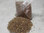 Брикетированные капсулы гармала, адыраспан исирик. Семена - фото 9