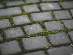 Брусчатка. Тротуарная плитка. ЖМИ!