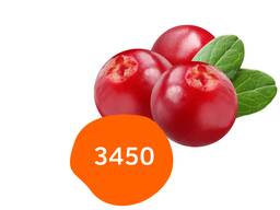 Брусника замороженная