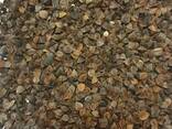 Buckwheat unhulled - photo 2