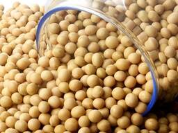 Bulk Yellow Soybeans for Sale