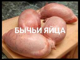 Бычьи яйца | Bull eggs | 公牛蛋