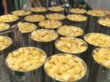 Canned Pineapple - фото 3