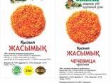 Чечевица - фото 5