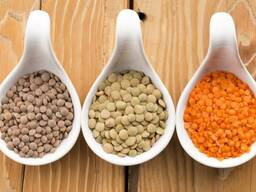 Продаем чечевицу красную и зеленую!