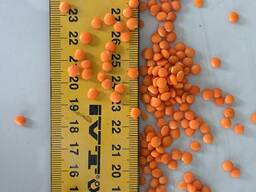 Чечевица красная футбол